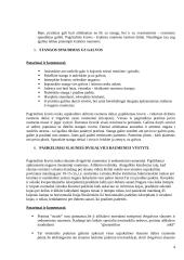 Atskirų kūno raumenų grupių lavinimo pratimai 4 puslapis