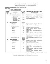 Orientavimosi sporto praktikos ataskaita 10 puslapis