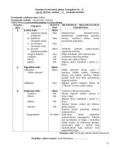 Orientavimosi sporto praktikos ataskaita 11 puslapis