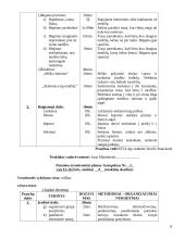 Orientavimosi sporto praktikos ataskaita 7 puslapis