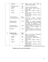 Orientavimosi sporto praktikos ataskaita 9 puslapis