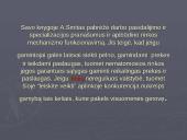 Adamas Smithas apie darbo pasidalijimą ir "nematomąją ranką" 7 puslapis