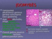 Angliavandeniliai - alkoholiai 16 puslapis