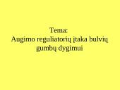 Augalinių reguliatorių įtaka bulvių gumbų dygimui 2 puslapis