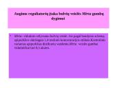 Augalinių reguliatorių įtaka bulvių gumbų dygimui 11 puslapis