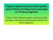 Augalinių reguliatorių įtaka bulvių gumbų dygimui 14 puslapis