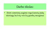 Augalinių reguliatorių įtaka bulvių gumbų dygimui 3 puslapis