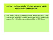 Augalinių reguliatorių įtaka bulvių gumbų dygimui 8 puslapis