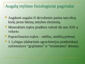 Augalų mityba per šaknis 14 puslapis