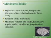 Augalų mityba per šaknis 16 puslapis