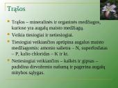 Augalų mityba per šaknis 17 puslapis