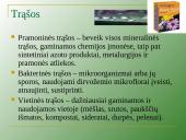 Augalų mityba per šaknis 18 puslapis