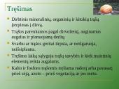 Augalų mityba per šaknis 19 puslapis