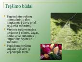 Augalų mityba per šaknis 20 puslapis