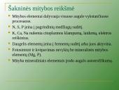 Augalų mityba per šaknis 4 puslapis