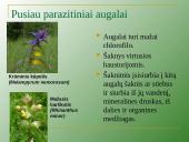 Augalų mityba per šaknis 5 puslapis