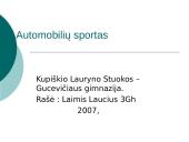 Automobilių sportas