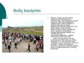 Automobilių sportas 5 puslapis