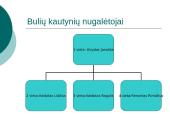 Automobilių sportas 6 puslapis