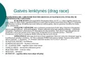 Automobilių sportas 9 puslapis