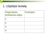 Branduolys ir jo funkcijos 15 puslapis