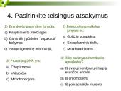 Branduolys ir jo funkcijos 18 puslapis