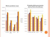Būsto paskolos, jų dinamika ir reikšmė banko finansiniam rezultatui 13 puslapis
