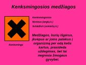 Darbo sauga laboratorijoje 16 puslapis