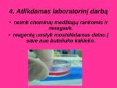 Darbo sauga laboratorijoje 5 puslapis