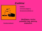 Darbo sauga laboratorijoje 7 puslapis