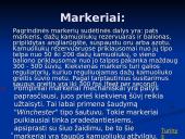 Dažasvydis 11 puslapis