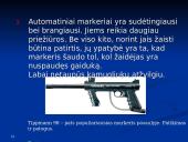 Dažasvydis 13 puslapis