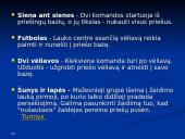 Dažasvydis 15 puslapis