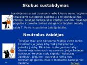 Dažasvydis 17 puslapis