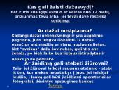 Dažasvydis 19 puslapis