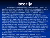 Dažasvydis 5 puslapis