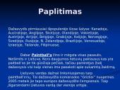 Dažasvydis 9 puslapis