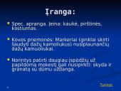 Dažasvydis 10 puslapis