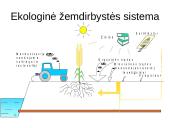 Dirvožemis kaip išteklius, jo panaudojimas ir apsauga 19 puslapis