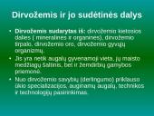 Dirvožemis kaip išteklius, jo panaudojimas ir apsauga 3 puslapis