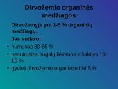 Dirvožemis kaip išteklius, jo panaudojimas ir apsauga 4 puslapis