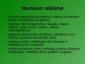 Dirvožemis kaip išteklius, jo panaudojimas ir apsauga 5 puslapis