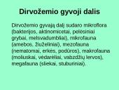 Dirvožemis kaip išteklius, jo panaudojimas ir apsauga 8 puslapis