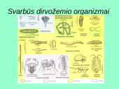 Dirvožemis kaip išteklius, jo panaudojimas ir apsauga 9 puslapis