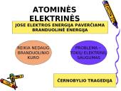 Elektra mūsų gyvenime 14 puslapis
