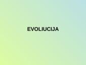 Evoliucijos procesas