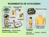 Evoliucijos procesas 14 puslapis