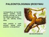 Evoliucijos procesas 16 puslapis