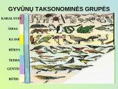 Evoliucijos procesas 18 puslapis