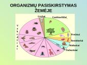 Evoliucijos procesas 20 puslapis